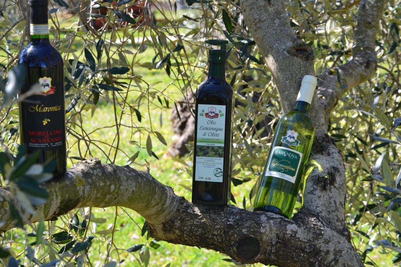 Agriturismo Il Laghetto Гроссето Екстер'єр фото