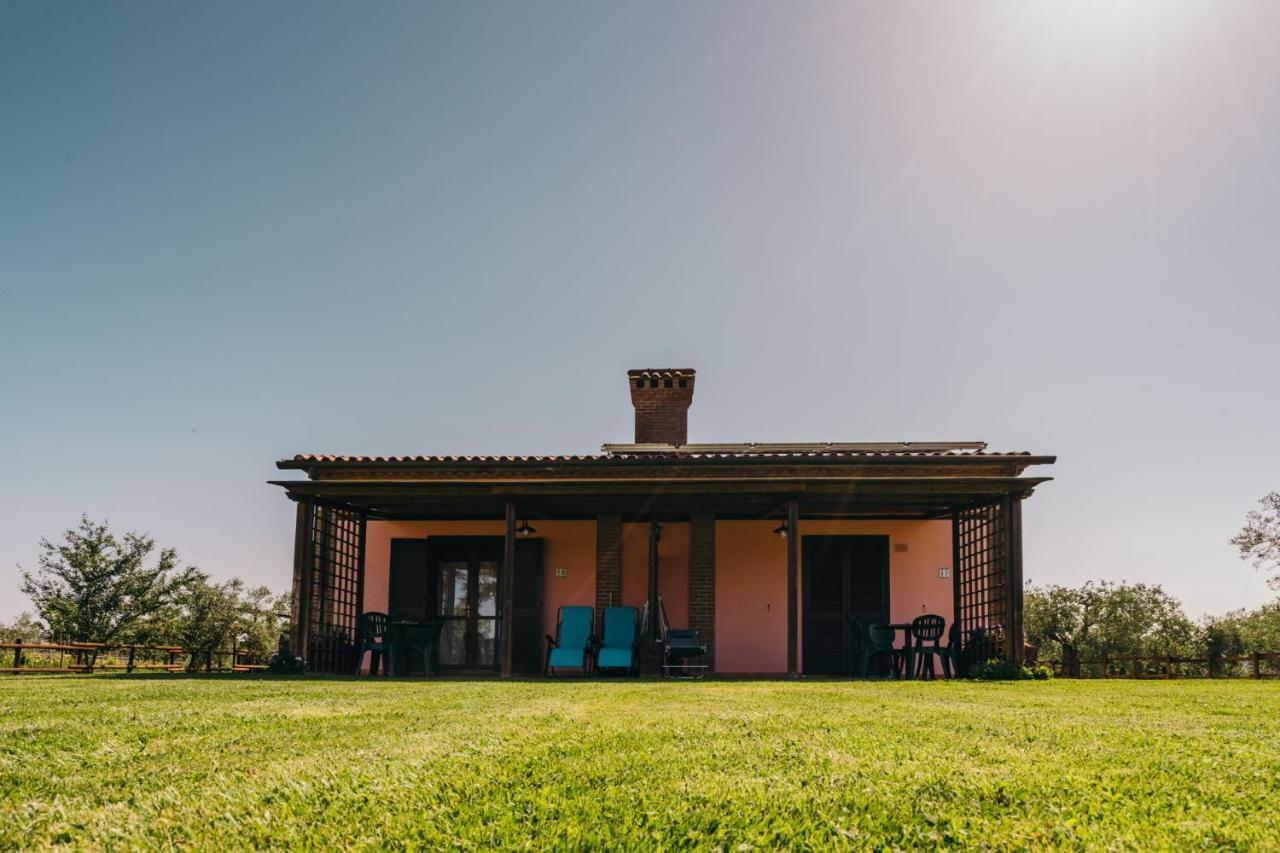 Agriturismo Il Laghetto Гроссето Екстер'єр фото