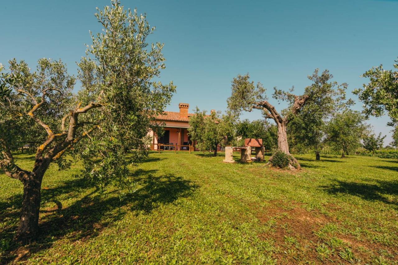 Agriturismo Il Laghetto Гроссето Екстер'єр фото