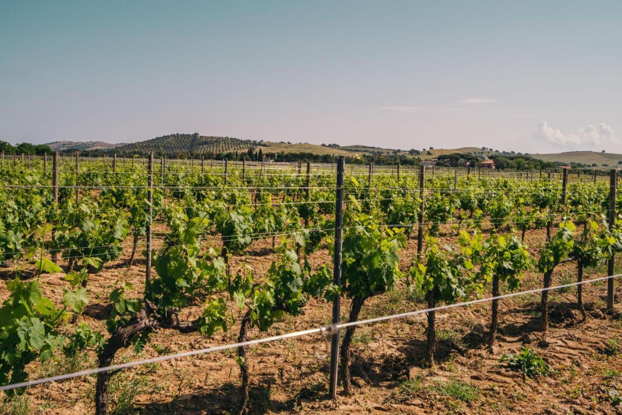 Agriturismo Il Laghetto Гроссето Екстер'єр фото