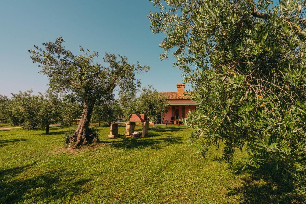 Agriturismo Il Laghetto Гроссето Екстер'єр фото